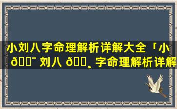 小刘八字命理解析详解大全「小 🐯 刘八 🌸 字命理解析详解大全图片」